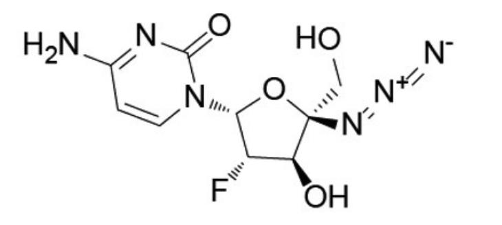 新肺炎疫苗最新,新肺炎疫苗最新進展，希望之光照亮未來