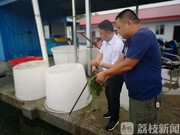 漁村小農(nóng)民的成長(zhǎng)之路，從田野到未來的勵(lì)志之旅