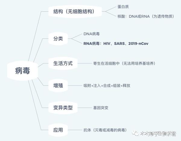 最新病毒總結(jié)報告，全面梳理與分析病毒動態(tài)