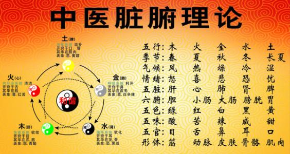 探索現(xiàn)代健康生活秘訣，最新養(yǎng)生知識(shí)匯總