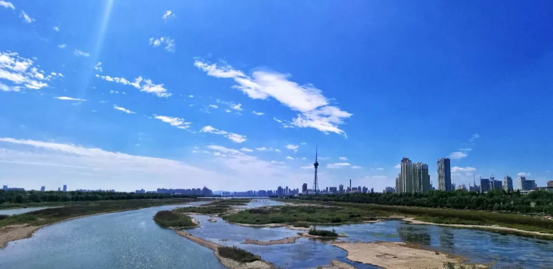 洛陽最新市容探秘，巷弄深處的小店驚喜