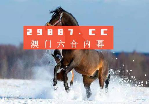 澳門一肖一碼一必中一肖同舟前進,實地驗證實施_深度版12.479