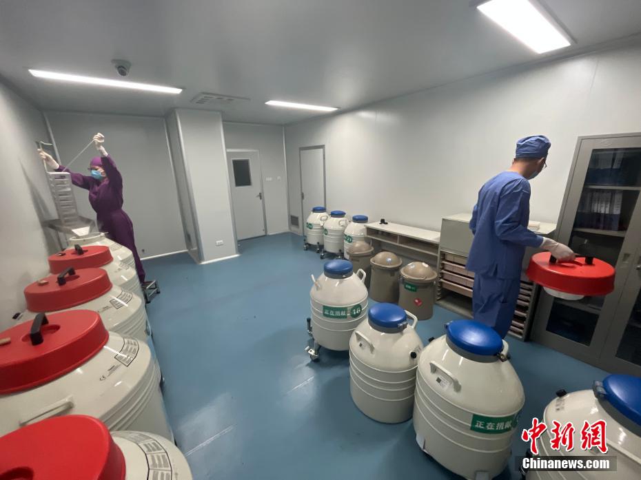 精子庫(kù)最新網(wǎng),精子庫(kù)最新網(wǎng)，小巷深處的獨(dú)特魅力