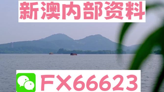新澳2024正版免費資料,