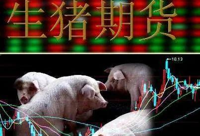 生豬期貨最新動態(tài)，變化中的機遇與挑戰(zhàn)的自我超越旅程