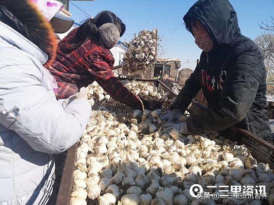 白城美食探秘，小巷深處的獨特風(fēng)味與隱藏的美食寶藏