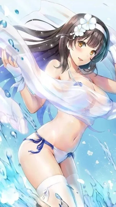 性感動(dòng)漫女生的探討，涉黃問(wèn)題的探究與反思