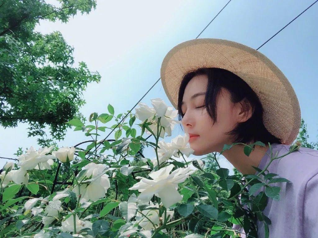 鍋碗瓢盆間的溫暖家園，尋找做飯阿姨，最新招聘信息與招募故事