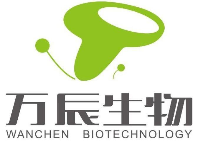 貝斯特上市日期揭秘，未來走向及市場預期分析