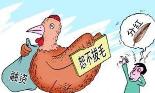 股票分紅一覽表，愛的傳遞與股市紅利的雙重呈現(xiàn)