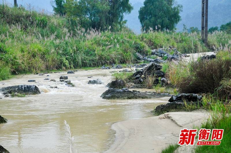 湖南常寧西嶺最新新聞，小巷深處的獨(dú)特風(fēng)味探索