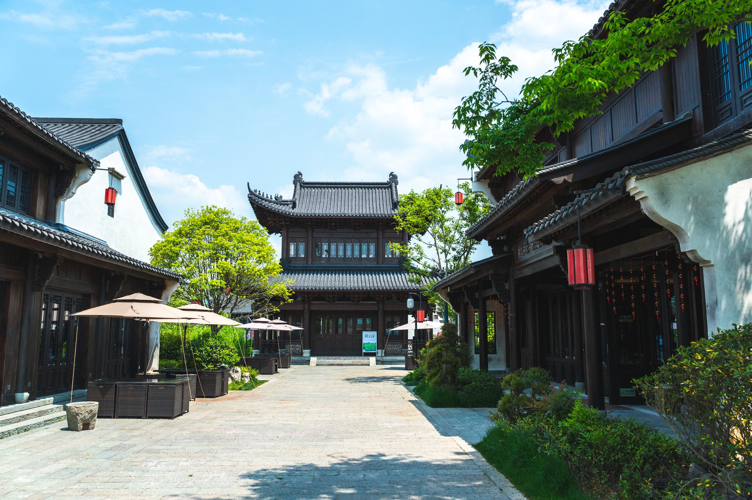 浙江建德梅城最新動態(tài)，梅香四溢的溫情日常