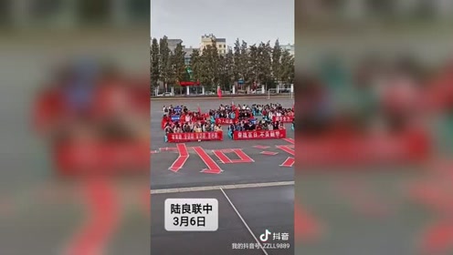 掌中陸良最新新聞，小巷深處的獨(dú)特風(fēng)味