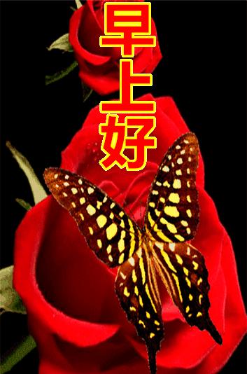 擁抱最新自我，自信閃耀在變化中